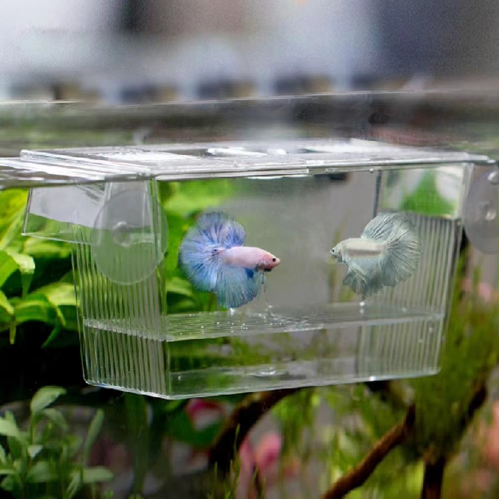 Aquarium Fish Reproduction - 창의적인 아크릴 어항 번식 수조 인큐베이터