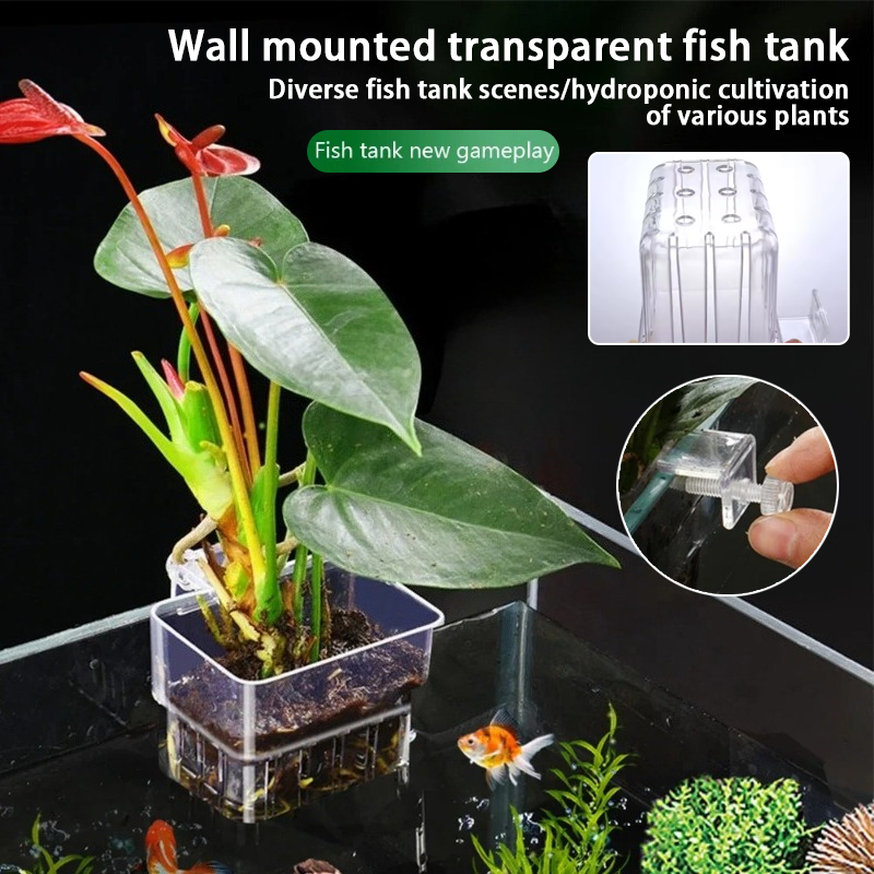 Aquarium Fish Background - 수족관 걸이형 화분 컵 벽걸이 수생