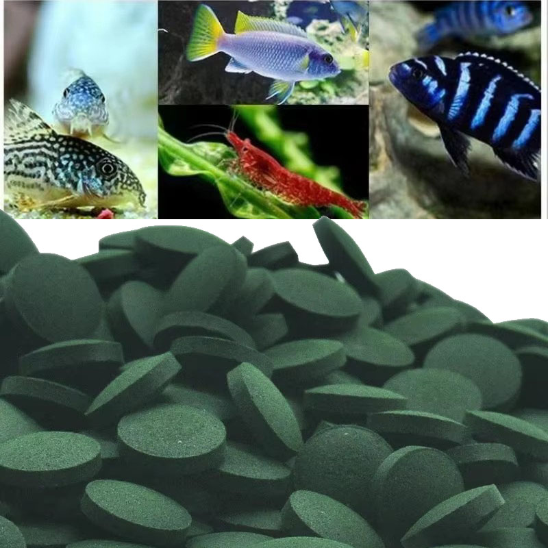 Aquarium Fish Vitamin - 50/100/300/500개 스피루리나 정제 나선형 해조류 농축물