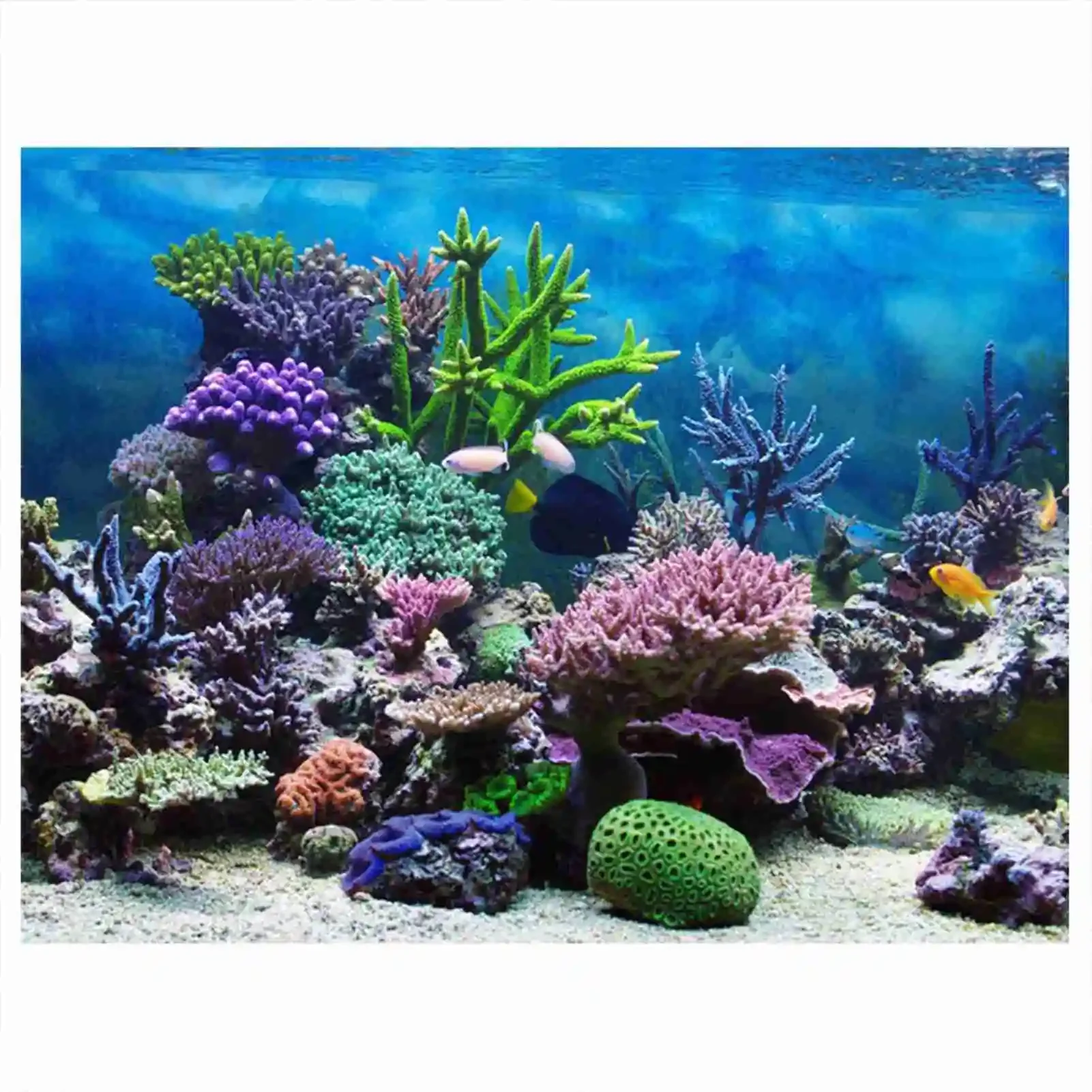 Aquarium Fish Background - 3D 수족관 풍경 포스터 벽지, 열대우림