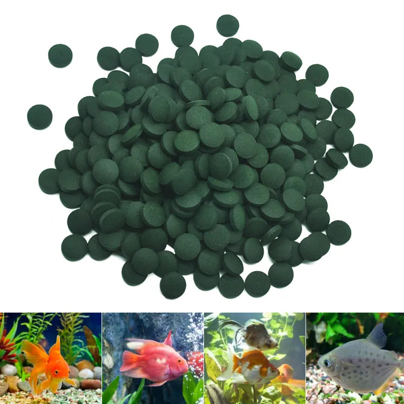 100-3000개 고순도 스피룰리나 정제 나선형 해조류 - Aquarium Fish Vitamin 리뷰 및 가격