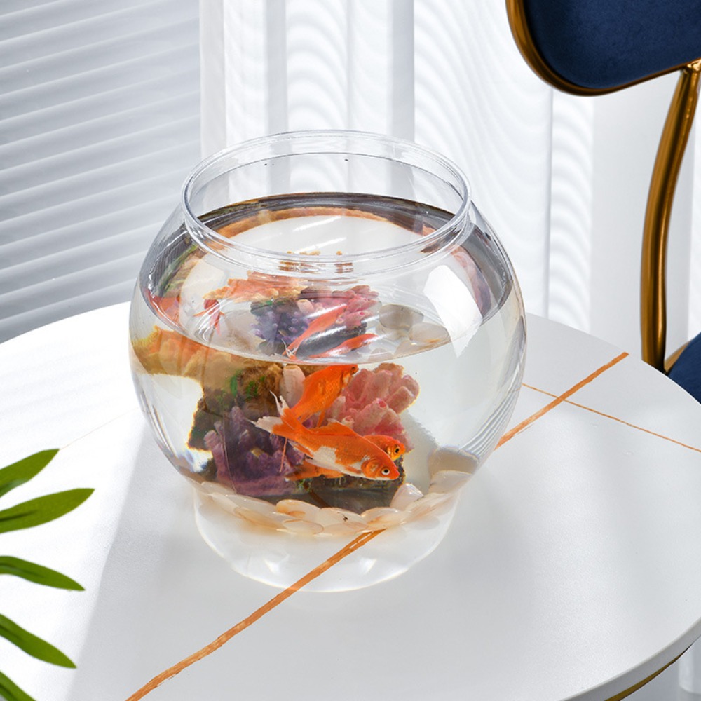 홈데코 투명 원형 어항 플라스틱 소형 어항 크리에이티브 - Aquarium Fish Names 리뷰 및 가격