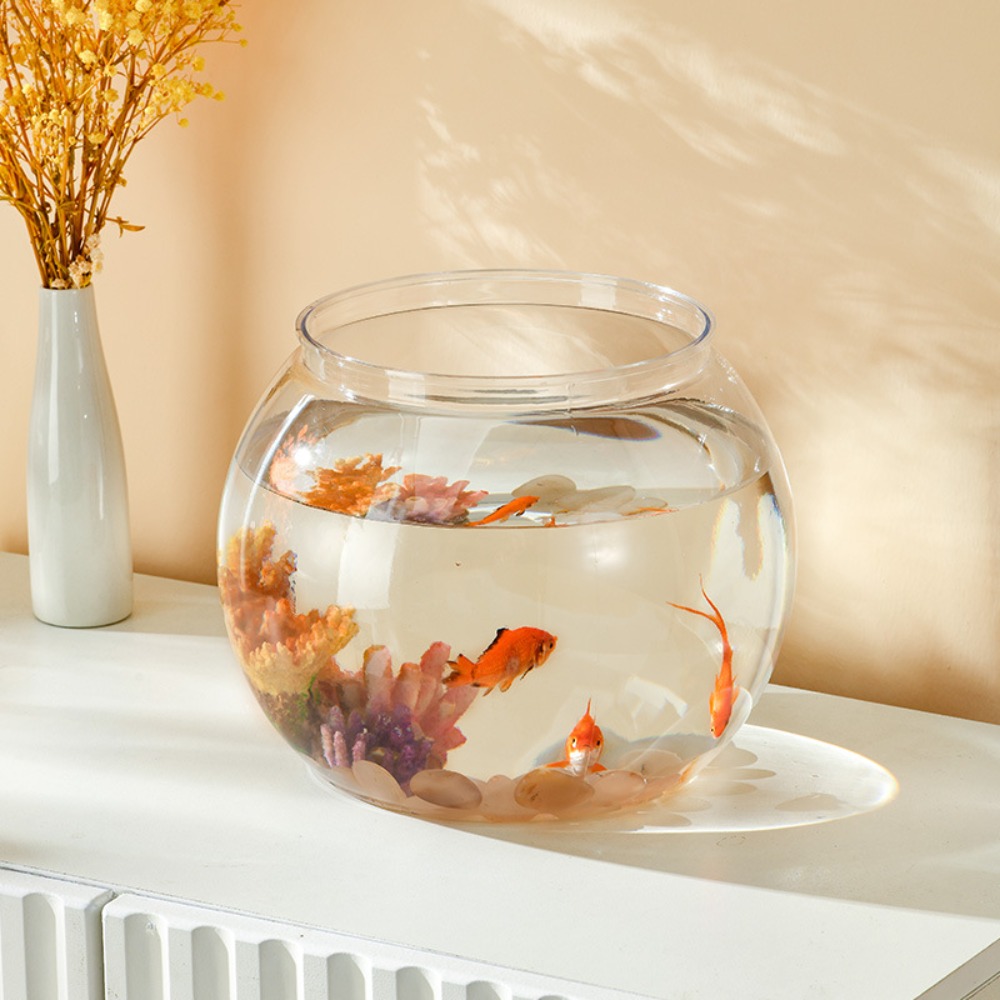 홈데코 투명 원형 어항 플라스틱 소형 어항 크리에이티브 - Aquarium Fish Names 리뷰 및 가격