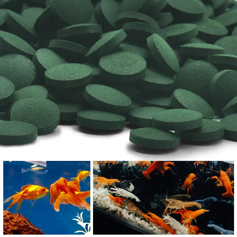 100pcs 고순도 스피루리나 정제 나선형 해초 농축  - Aquarium Fish Vitamin 리뷰 및 가격