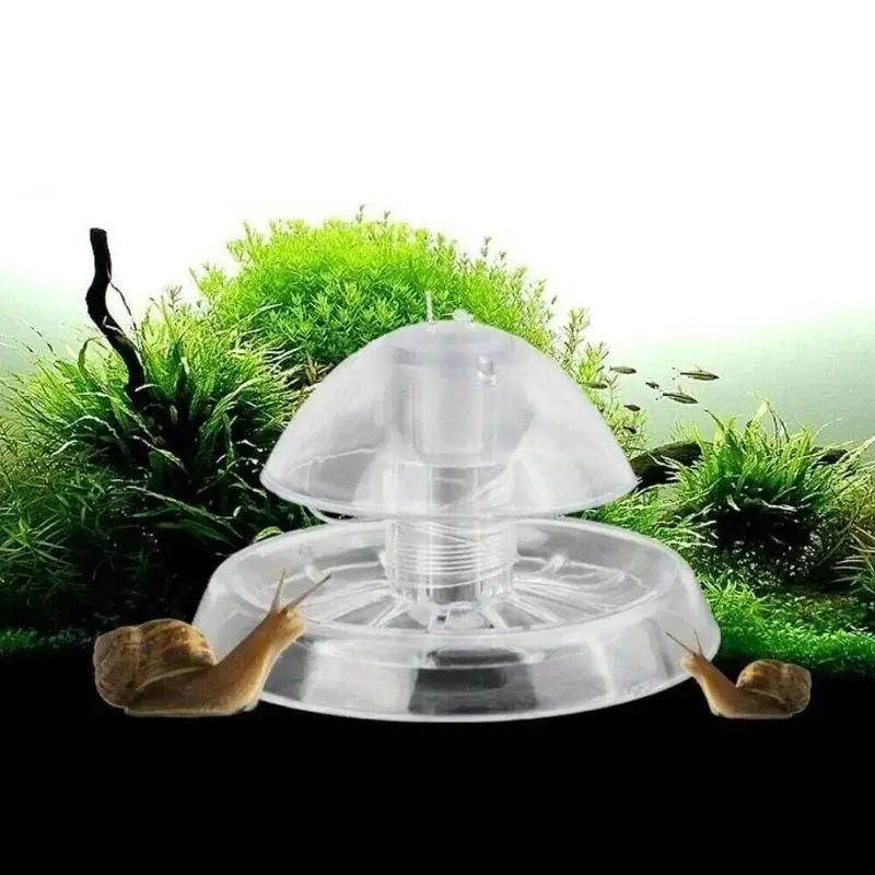 2026년형 새로운 6/8CM 투명 플라스틱 달팽이 트 - Aquarium Fish Maintenance 리뷰 및 가격