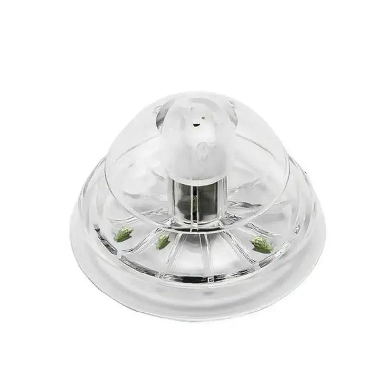 2026년형 새로운 6/8CM 투명 플라스틱 달팽이 트 - Aquarium Fish Maintenance 리뷰 및 가격