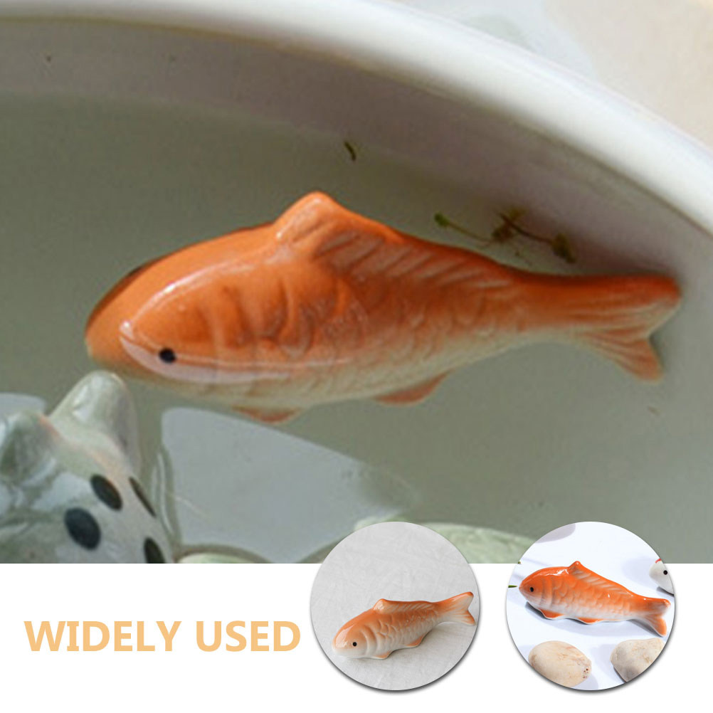 실내외 연못, 수족관, 분수, 정원 등에 어울리는 생생 - Aquarium Fish Koi 리뷰 및 가격