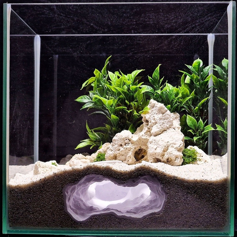 새로운 고도로 시뮬레이션된 수족관 어항 자연 3D 프린 - Aquarium Fish Reproduction 리뷰 및 가격