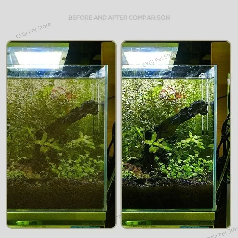 수조 청소 도구 평면 모래 조류 제거 이중 용도 유리  - Aquarium Fish Maintenance 리뷰 및 가격