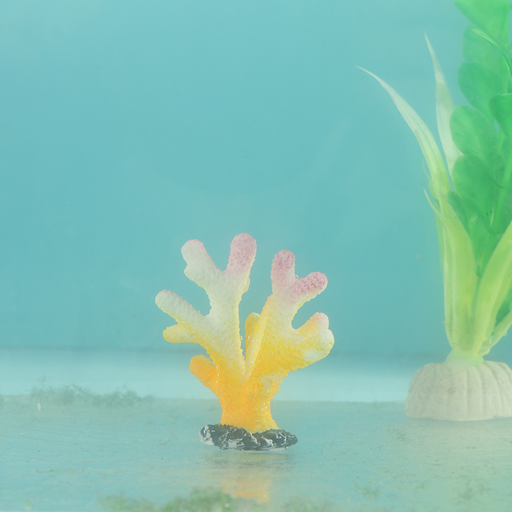 인공 산호 어항 장식, 시뮬레이션 불가사리 수지 암초  - Aquarium Decoration Rock 리뷰 및 가격