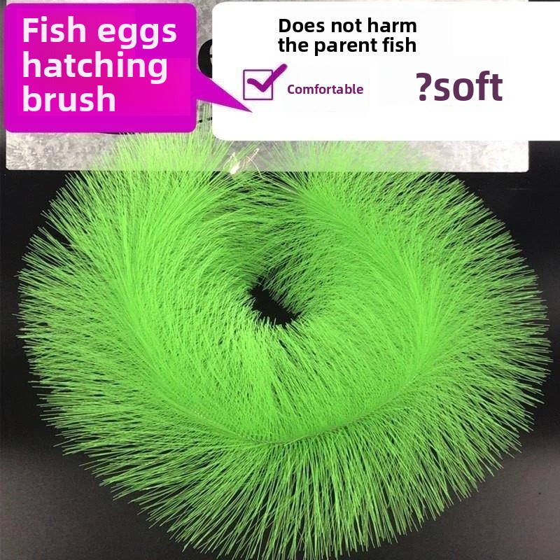 코이 물고기 알 부화용 사육용 잔디, 금붕어 양식용 여 - Aquarium Fish Koi 리뷰 및 가격