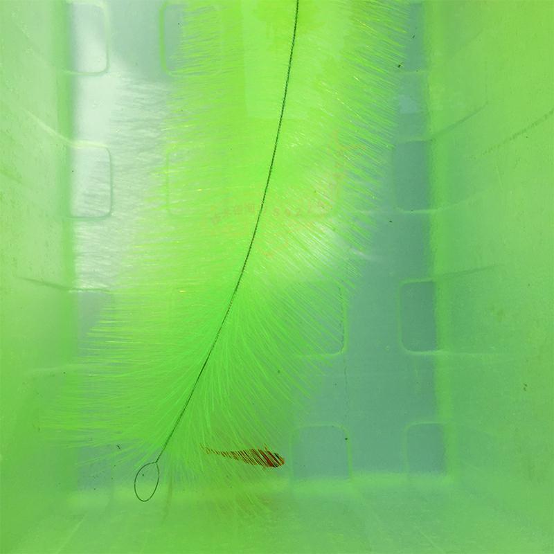 코이 물고기 알 부화용 사육용 잔디, 금붕어 양식용 여 - Aquarium Fish Koi 리뷰 및 가격