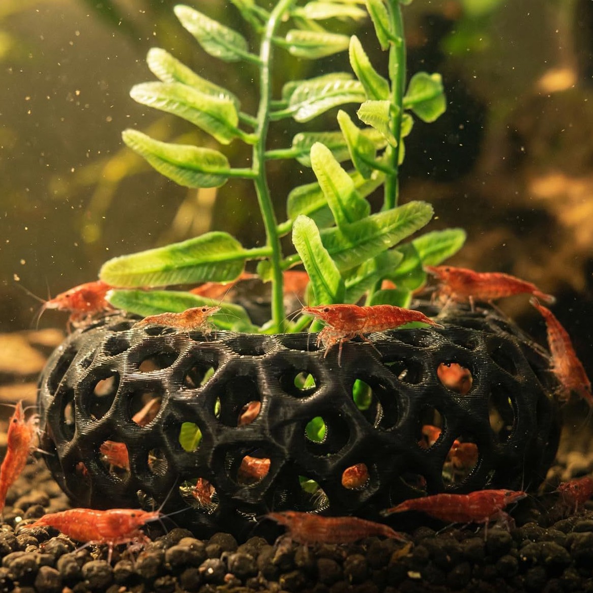 인기 있는 3D 프린팅 수족관 물고기 및 새우 탈출용  - Aquarium Fish Reproduction 리뷰 및 가격