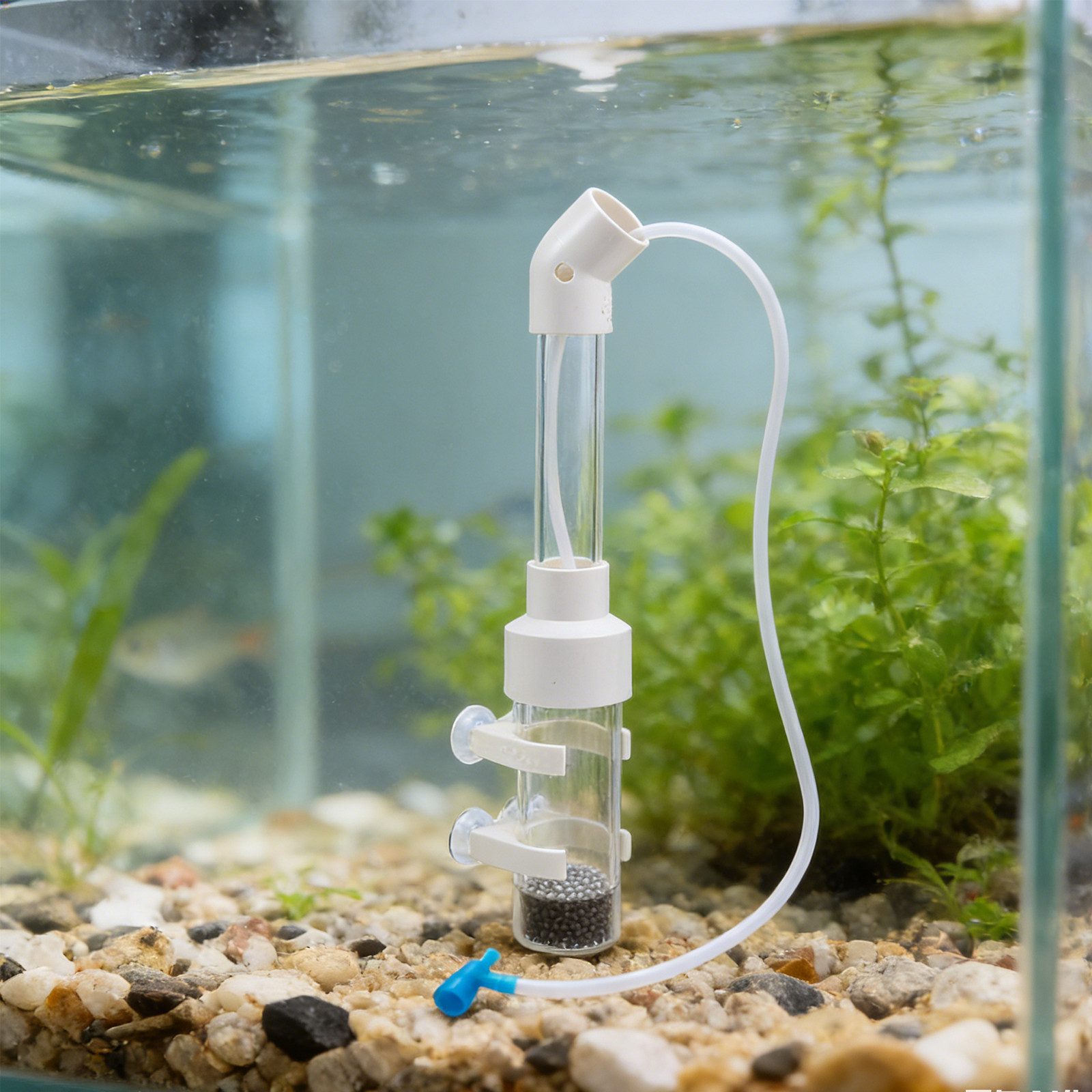 2세트 어류 알 부화기 키트, 자동 40mm 투명 텀블 - Aquarium Fish In 리뷰 및 가격