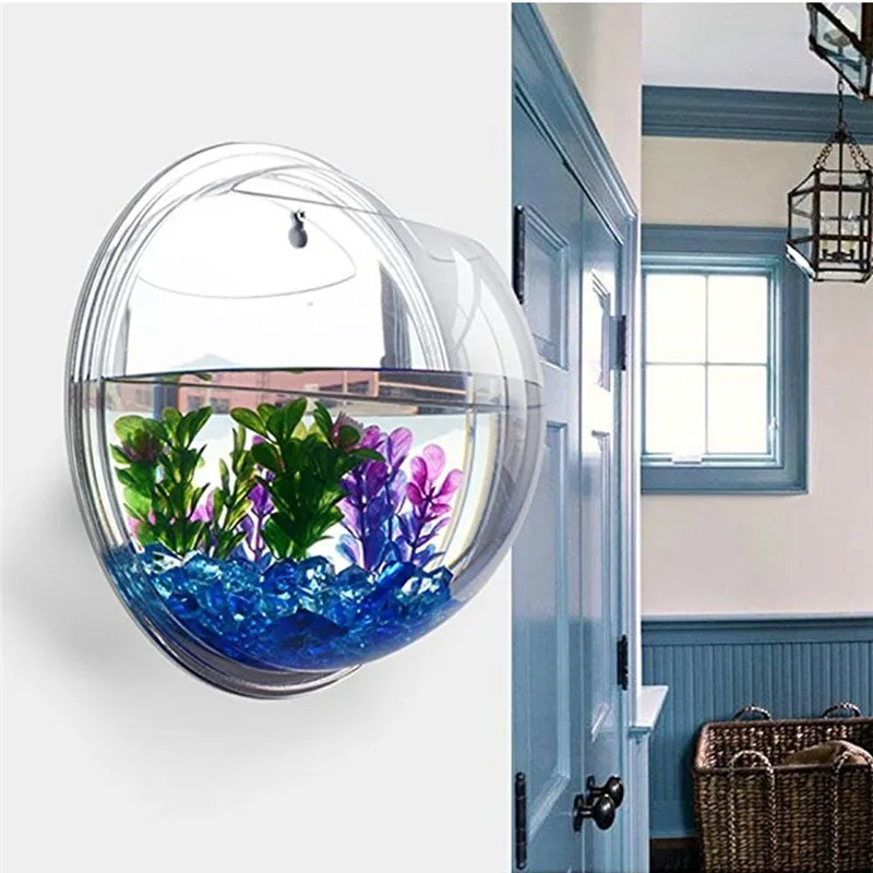 투명 아크릴 걸이식 벽 수족관, 식물 꽃병 꽃, 잔디  - Aquarium Fish Names 리뷰 및 가격