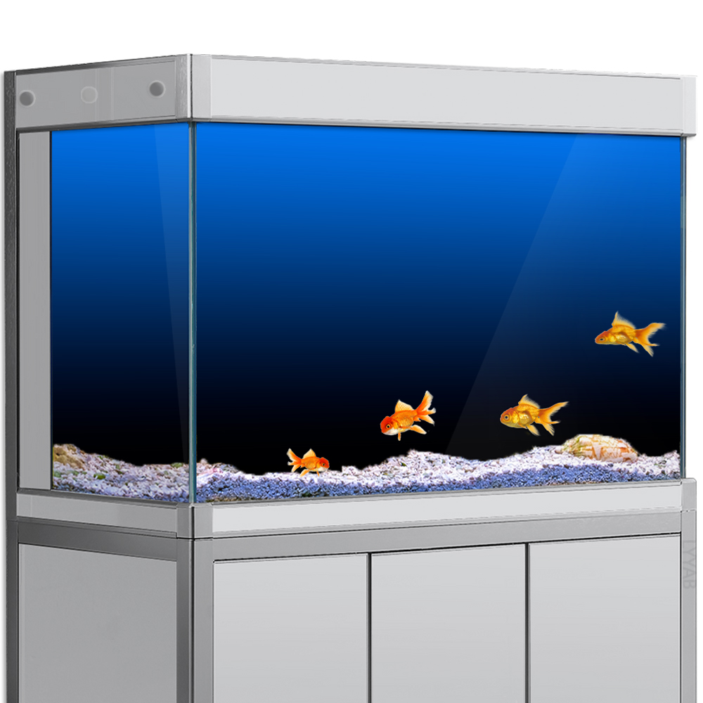 물고기 탱크 배경 스티커 검정 녹색 파란색 그라디언트  - Aquarium Fish Background 리뷰 및 가격