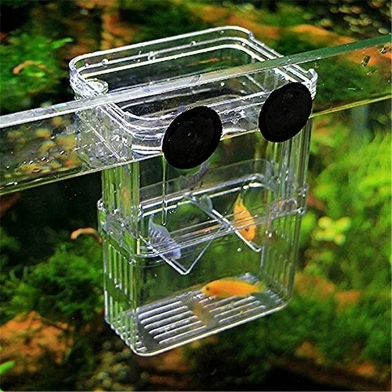 다기능 어항 고투명 어류 번식 격리 상자 어항 사육통  - Aquarium Fish Background 리뷰 및 가격