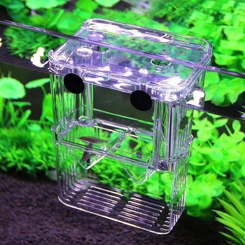 다기능 어항 고투명 어류 번식 격리 상자 어항 사육통  - Aquarium Fish Background 리뷰 및 가격