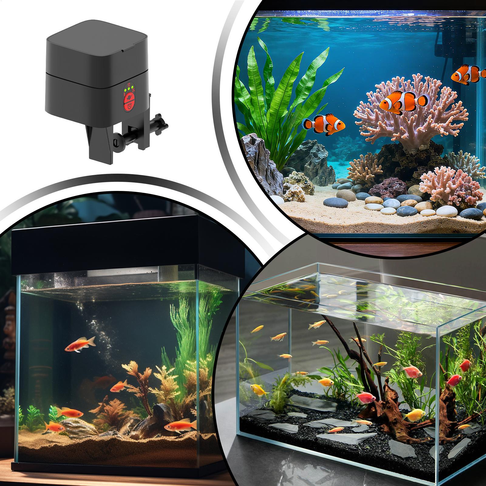 수족관용 자동 물고기 급식기, 자동 타입-C 충전식 디 - Aquarium Fish Feeder Automatic 리뷰 및 가격