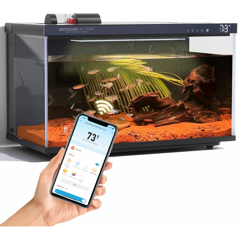 스마트 어항, 유리 어항, 자가 세척 필터, 듀얼 컬러 - Aquarium Fish Feeder Automatic 리뷰 및 가격