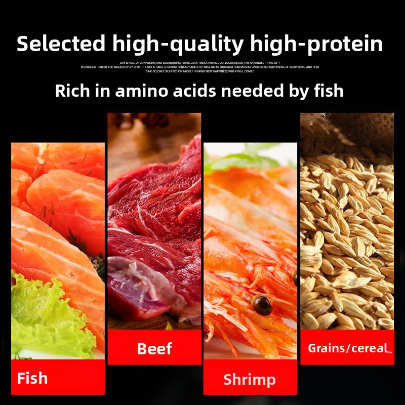 썬썬 코이 장식용 물고기 금붕어 사료 고함량 스피루리나 - Aquarium Fish Vitamin 리뷰 및 가격